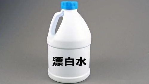 家中有寵物，如何選擇環境清潔及消毒用品？這3種消毒用品一定要注意